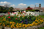 Art Giclee Print Poster - Spring in Florence Piazzale Michelangelo Florence Italy. Photo by Igor Maloratskiy 