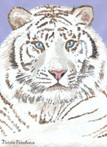 год белого металлического тигра